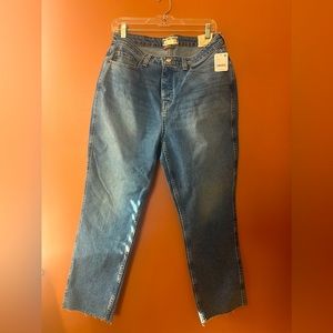 We The Free CRVY High-Rise Vintage Straight Jeans